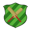 CricAPI - Free Cricket API Logo